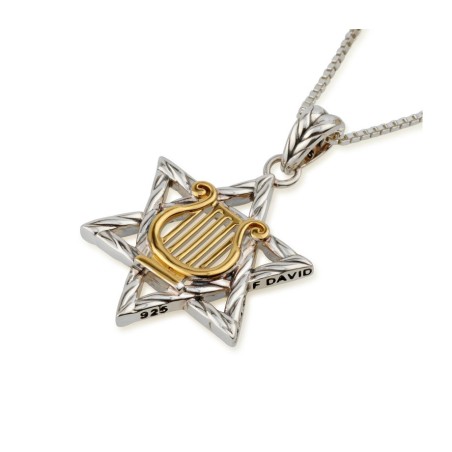 שרשרת תליון כסף סטרלינג בציפוי זהב דוד... | תליון יהודי